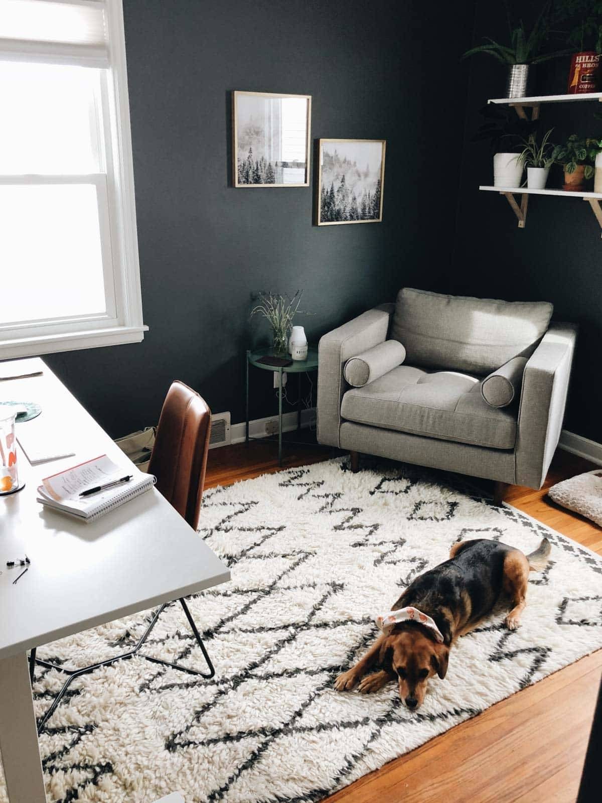 Office with grey chair and plants.